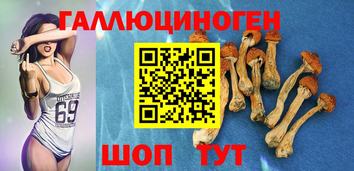 Галлюциногенные грибы прущие грибы  Вход с VPN  Урай 