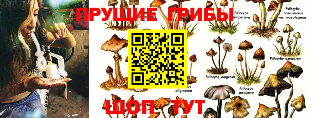 Галлюциногенные грибы прущие грибы Урай